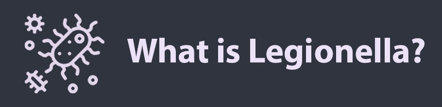 What is Legionella?